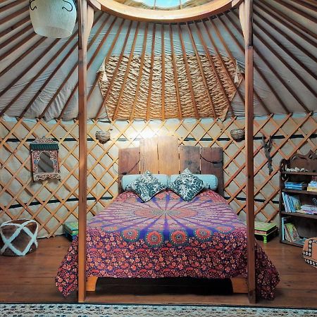 Green Man Yurt Penela Exterior foto