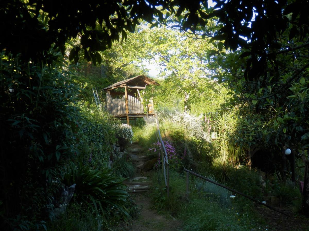 Green Man Yurt Penela Exterior foto