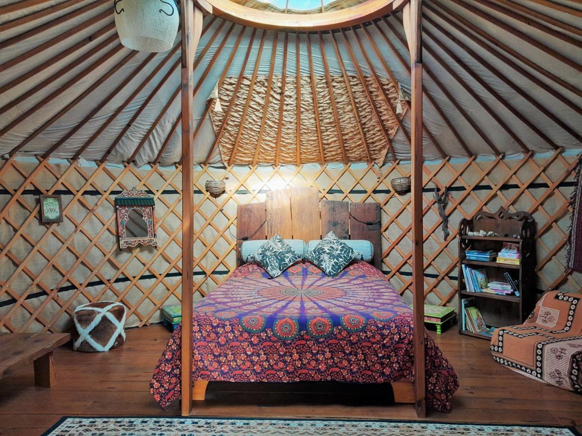 Green Man Yurt Penela Exterior foto